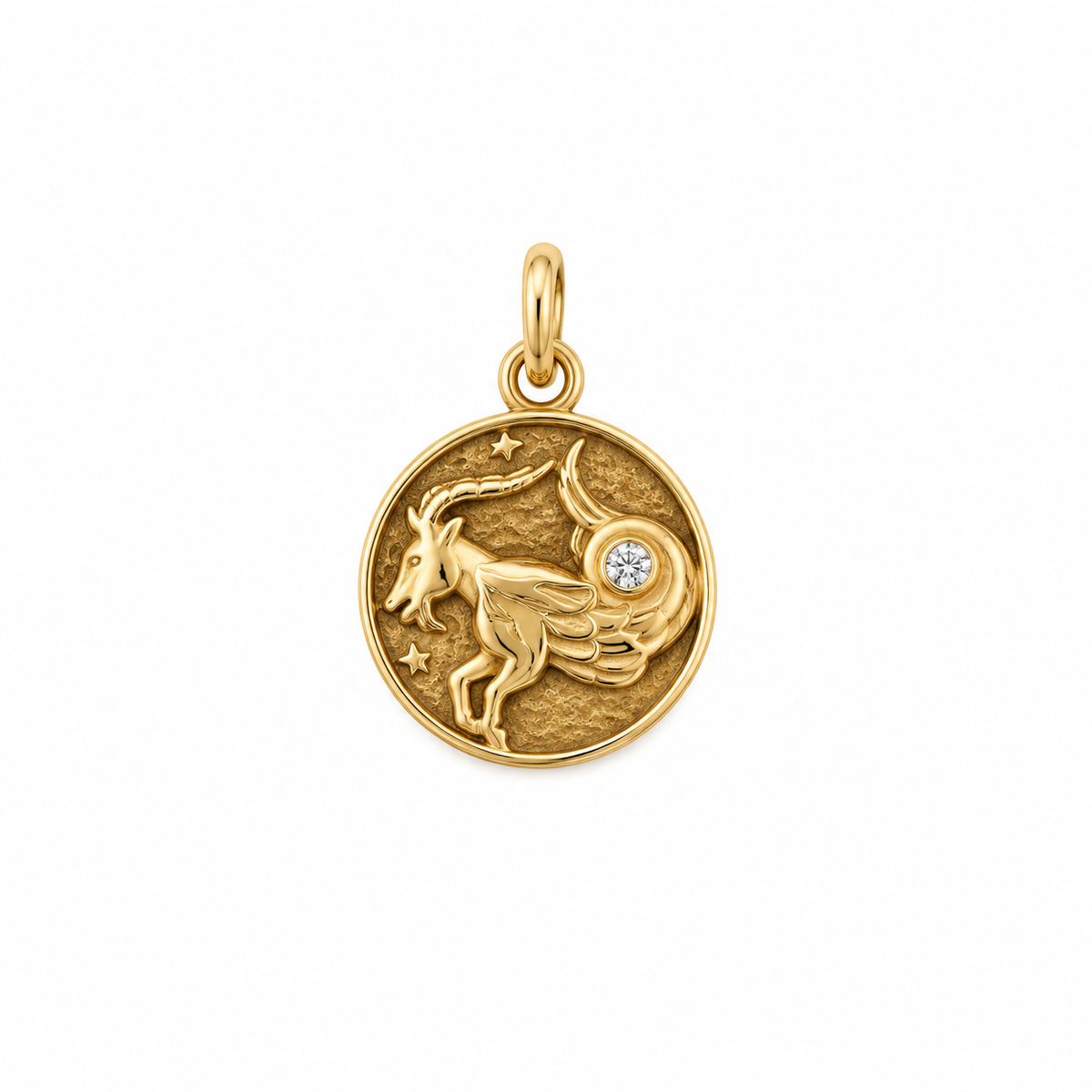 Capricorn Zodiac Coin - SAMPLE