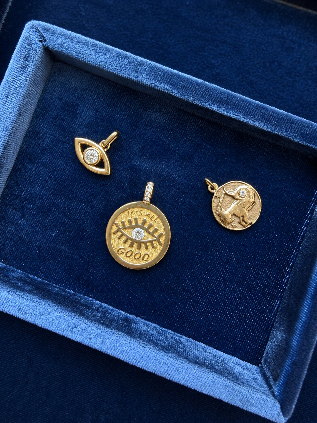 Capricorn Zodiac Coin - SAMPLE