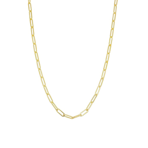 Medium Paperclip Chain Necklace